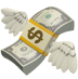 money icon