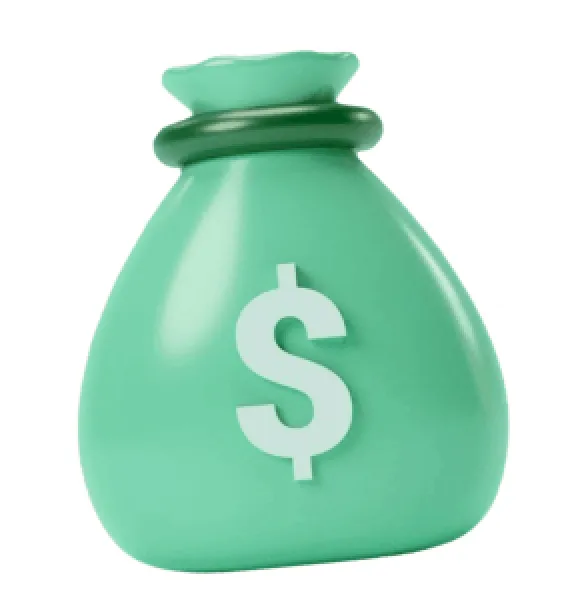 money bag